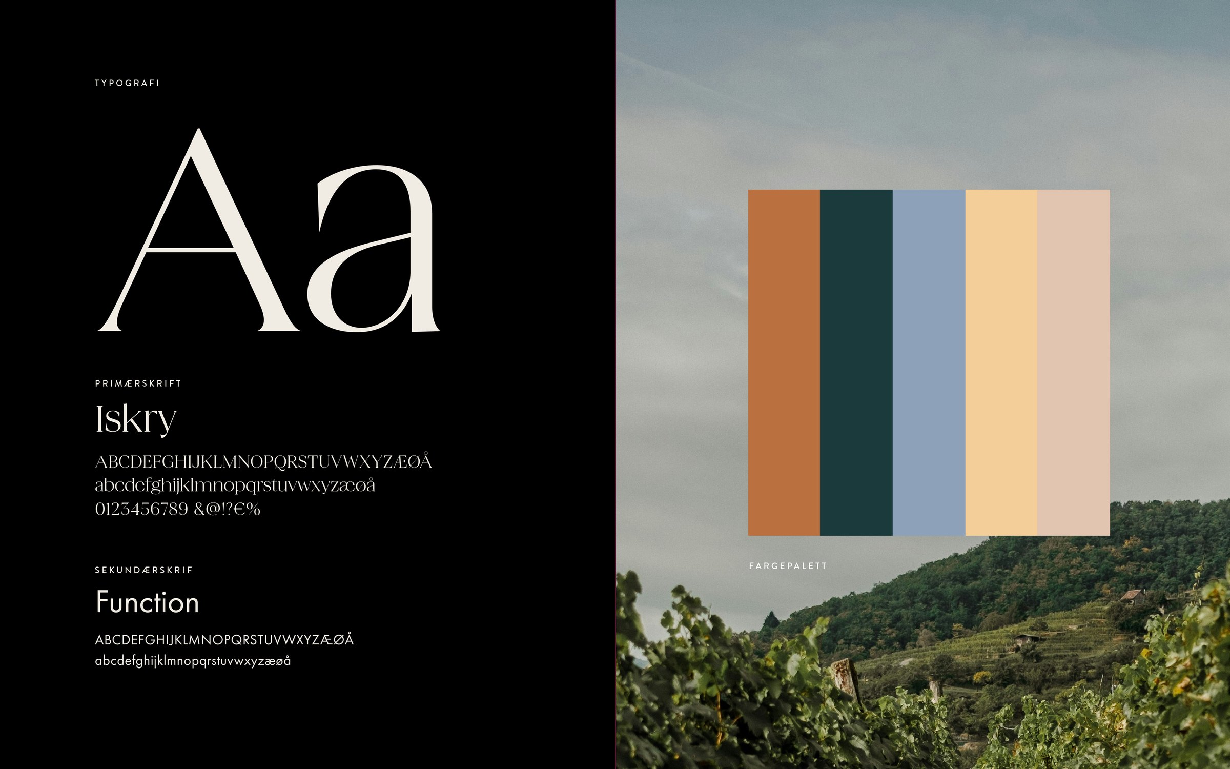 Typografi og fargepalett