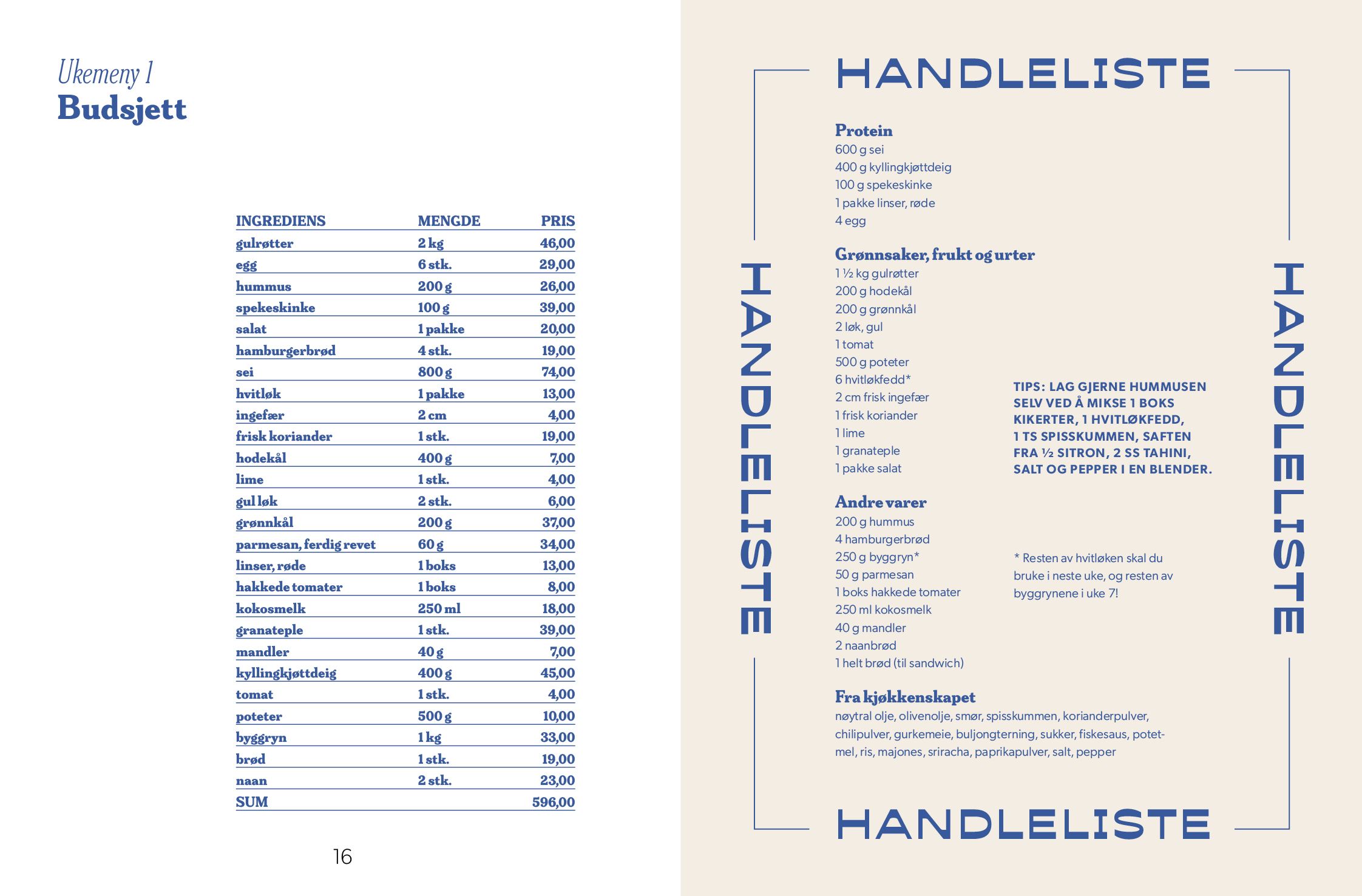 Budsjett og handleliste
