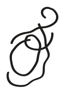 Oyster Tales, symbol